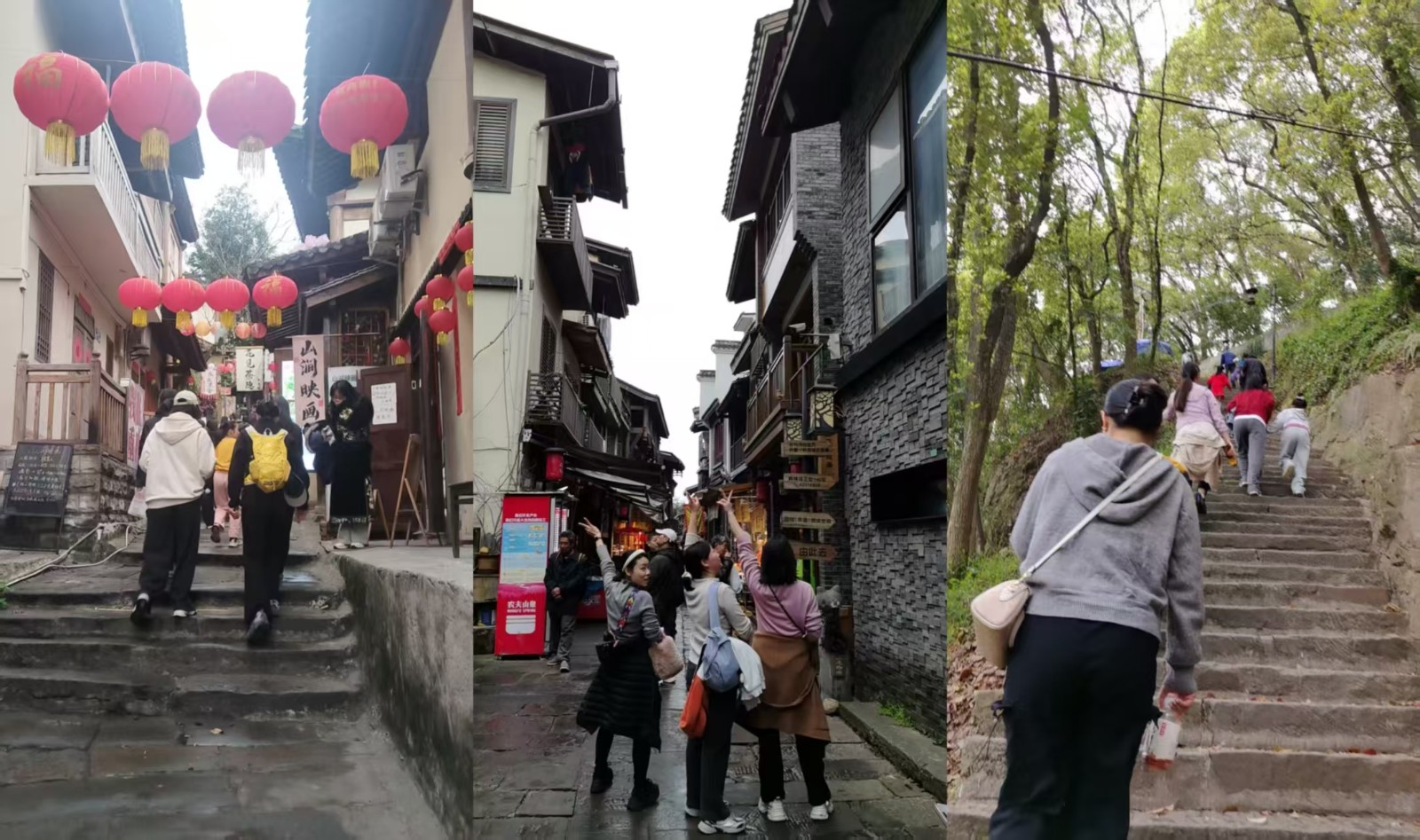 微信图片_20260309154331_278_115